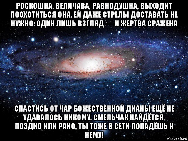 роскошна, величава, равнодушна, выходит поохотиться она. ей даже стрелы доставать не нужно: один лишь взгляд — и жертва сражена спастись от чар божественной дианы ещё не удавалось никому. смельчак найдётся, поздно или рано, ты тоже в сети попадёшь к нему!, Мем Вселенная