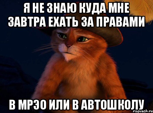 Поезжай завтра. Завтра едем. Завтра уезжаю. Картинки на тему завтра. Поехал за правами.