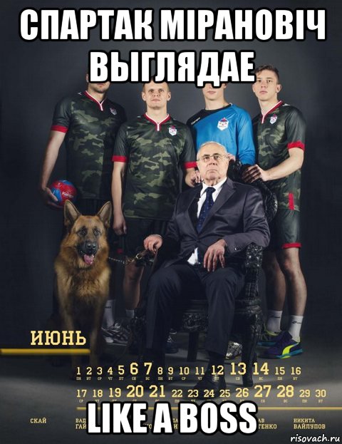 Вывы