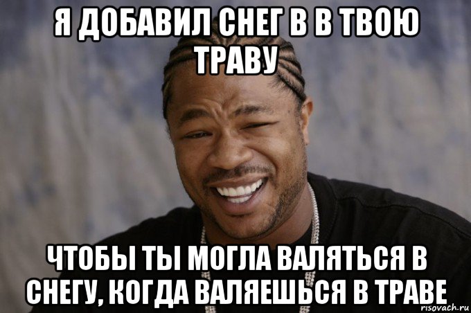 я добавил снег в в твою траву чтобы ты могла валяться в снегу, когда валяешься в траве, Мем Xzibit