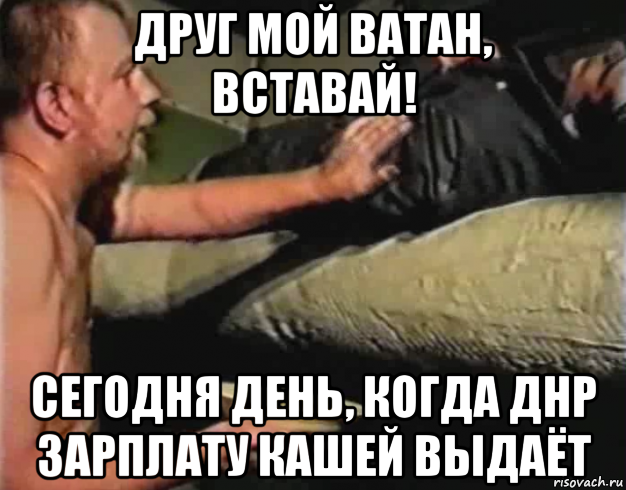 друг мой ватан, вставай! сегодня день, когда днр зарплату кашей выдаёт, Мем Зеленый слоник