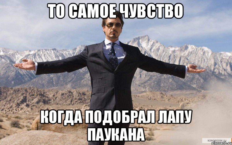 То самое чувство Когда подобрал лапу Паукана, Мем железный человек