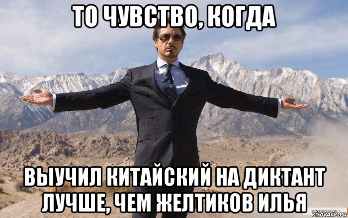 то чувство, когда выучил китайский на диктант лучше, чем желтиков илья, Мем железный человек