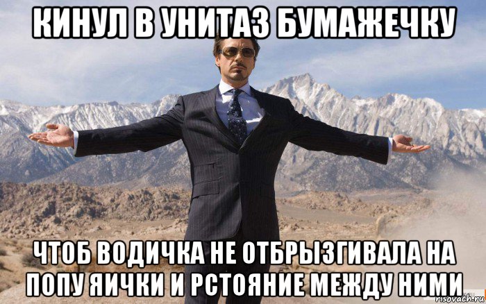 кинул в унитаз бумажечку чтоб водичка не отбрызгивала на попу яички и рстояние между ними, Мем железный человек