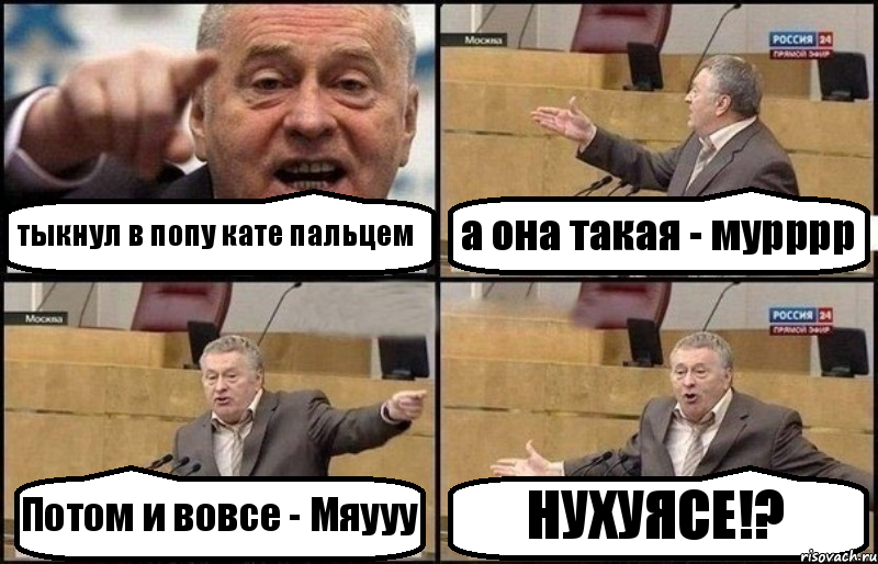 тыкнул в попу кате пальцем а она такая - мурррр Потом и вовсе - Мяууу НУХУЯСЕ!?, Комикс Жириновский