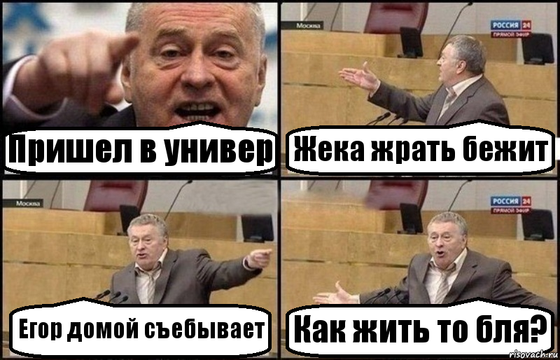 Пришел в универ Жека жрать бежит Егор домой съебывает Как жить то бля?, Комикс Жириновский