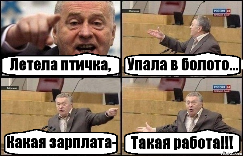 Летела птичка, Упала в болото... Какая зарплата- Такая работа!!!, Комикс Жириновский