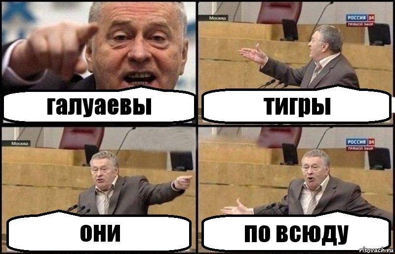 По всюду. Жириновский правило 34. Аыаы. Пппппппппппппппппп. Жириновский Мем про туалет.