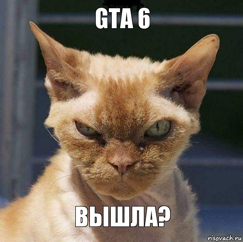 GTA 6 ВЫШЛА?, Комикс  злой кот