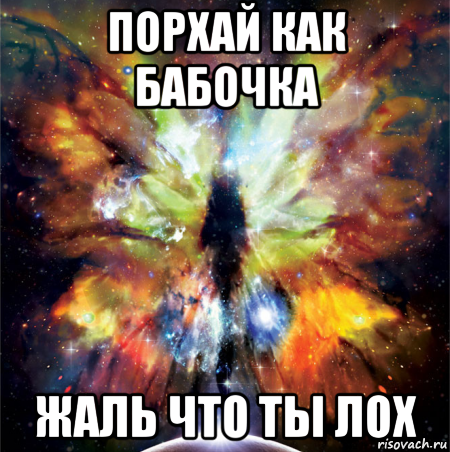 Порхай как бабочка жаль. Порхай как бабочка жаль что ты лох. Порхай как бабочка жаль Мем. Порхай как бабочка Маквин.