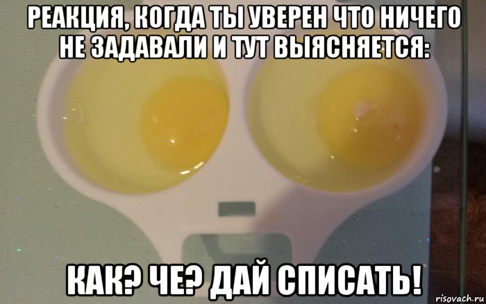 Ни задали. Пока ничего не задано.. Ничего не задали. Тебе пока ничего не задали. Ничего не задано картинка.