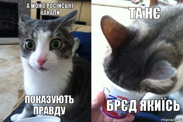 а може російські канали показують правду та нє брєд якиїсь, Комикс  Да не бред какой-то (4 зоны)