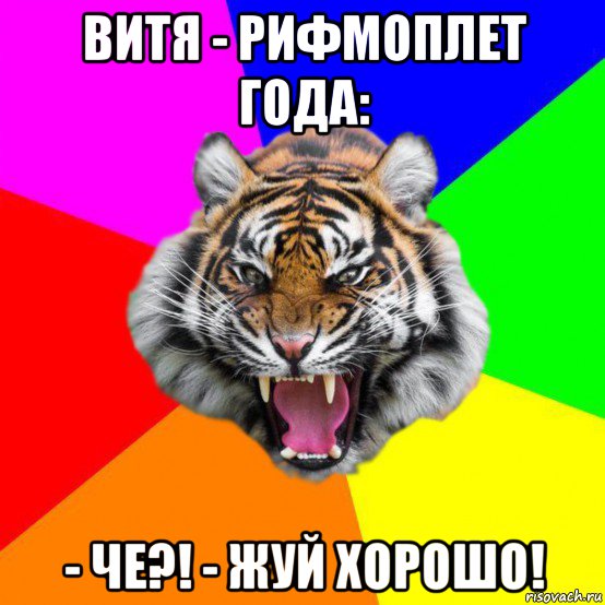 витя - рифмоплет года: - че?! - жуй хорошо!, Мем  ДЕРЗКИЙ ТИГР