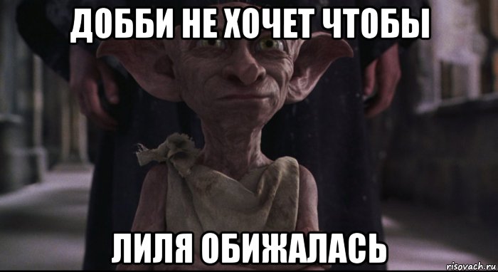 На что добби тратил заработанные деньги. Добби. Добби хозяин. Добби свободен. Добби прикол.