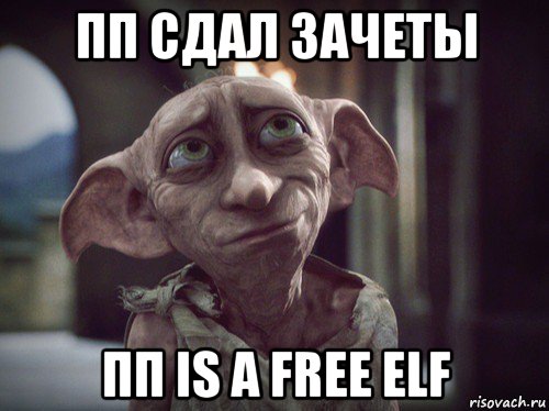 пп сдал зачеты пп is a free elf