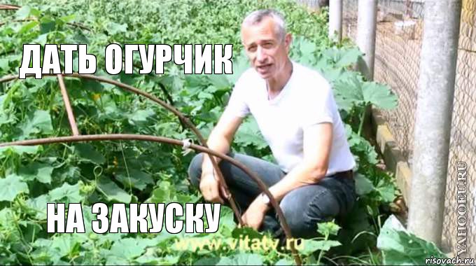 дать огурчик на закуску