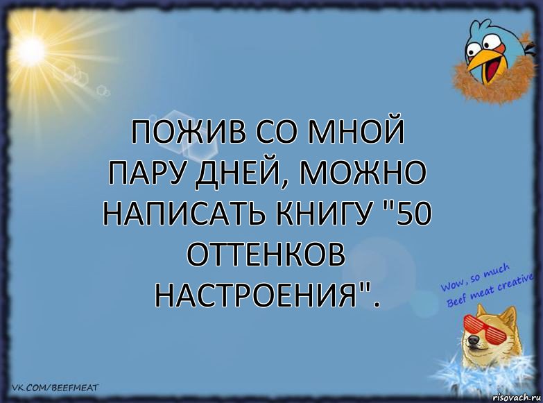 Пожив со мной пару дней, можно написать книгу "50 оттенков настроения"., Комикс ФОН