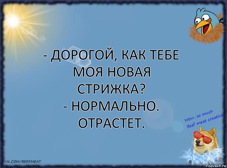 - Дорогой, как тебе моя новая стрижка?
- Нормально. Отрастет., Комикс ФОН