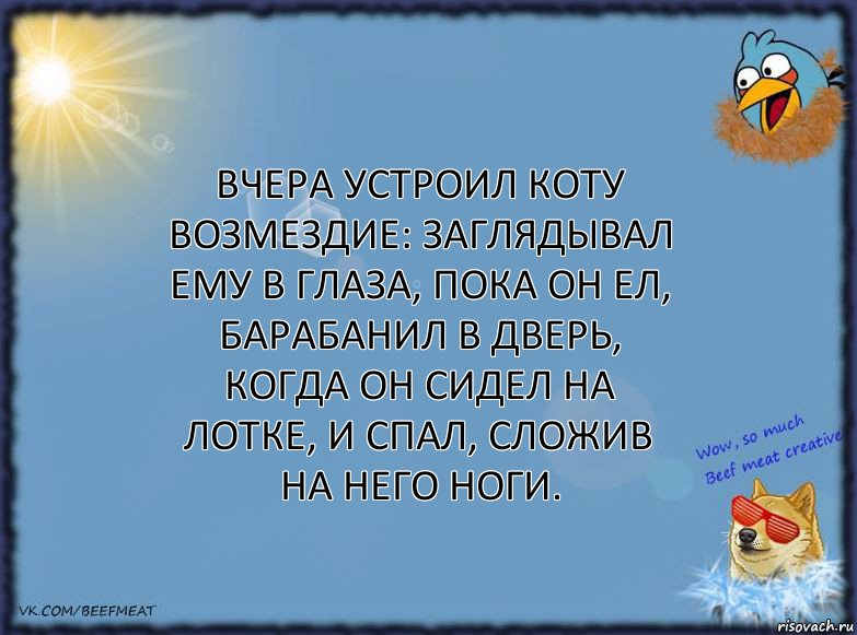 Вчера устроил коту возмездие: заглядывал ему в глаза, пока он ел, барабанил в дверь, когда он сидел на лотке, и спал, сложив на него ноги., Комикс ФОН