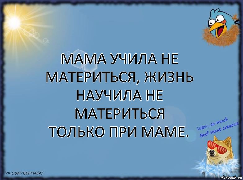 Мама учила не материться, жизнь научила не материться только при маме., Комикс ФОН