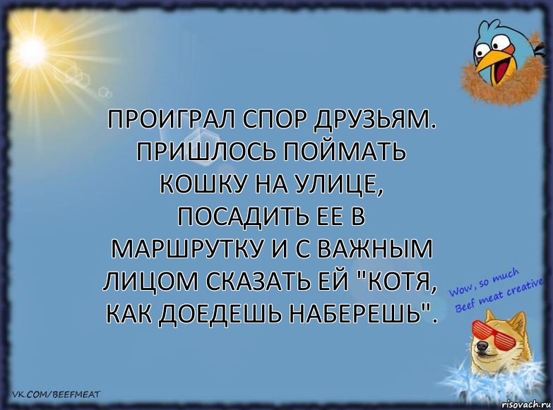 Проиграл спор друзьям. Пришлось поймать кошку на улице, посадить ее в маршрутку и с важным лицом сказать ей "Котя, как доедешь наберешь"., Комикс ФОН