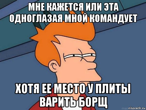 мне кажется или эта одноглазая мной командует хотя ее место у плиты варить борщ, Мем  Фрай (мне кажется или)