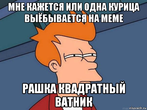 мне кажется или одна курица выёбывается на меме рашка квадратный ватник, Мем  Фрай (мне кажется или)