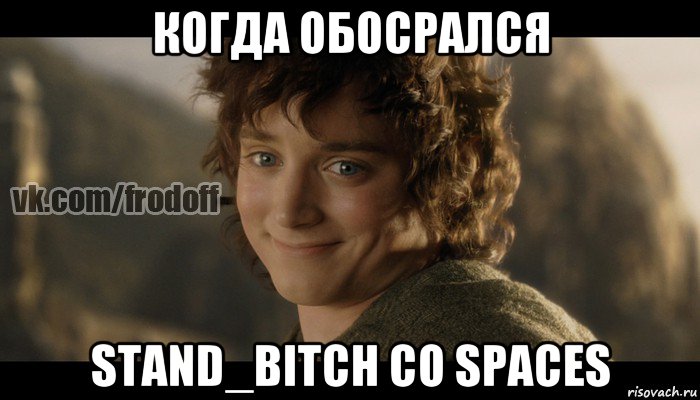 когда обосрался stand_bitch со spaces, Мем  Фродо