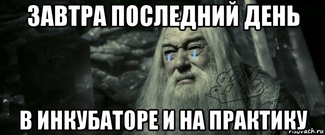 Последнее завтра. Мем завтра последний день. Завтра последний день вахты. Завтра крайний день. Мемы последних дней.