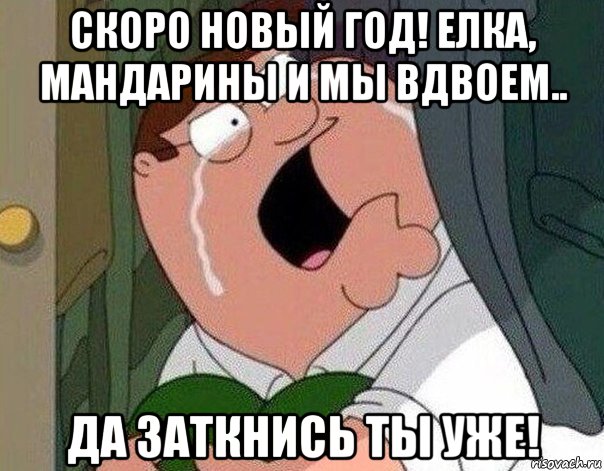 скоро новый год! елка, мандарины и мы вдвоем.. да заткнись ты уже!, Мем Гриффин плачет