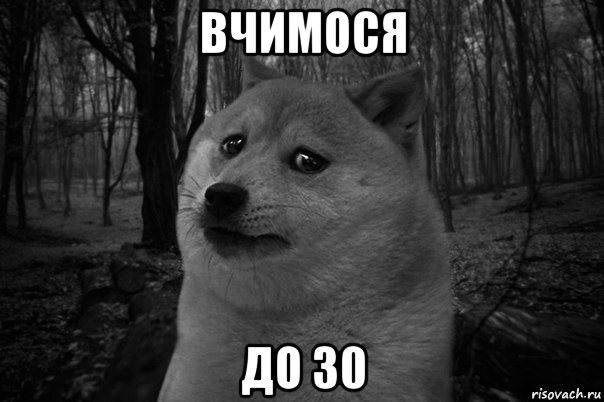 вчимося до 30