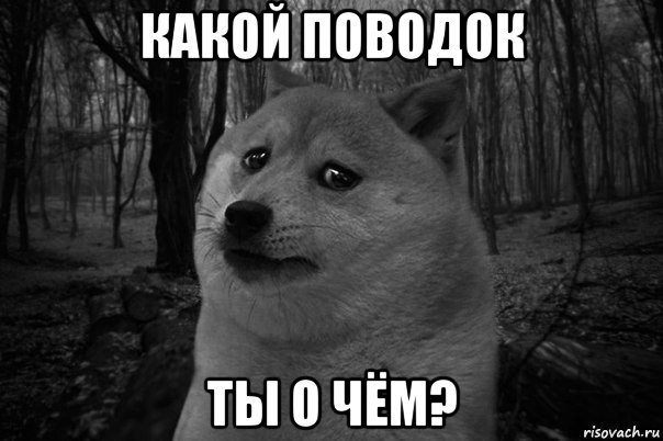 какой поводок ты о чём?