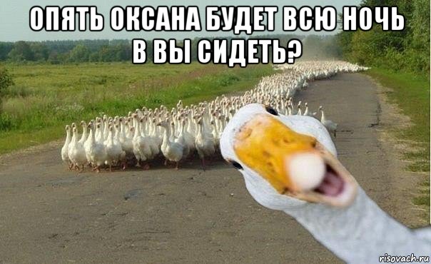 опять оксана будет всю ночь в вы сидеть? , Мем гуси