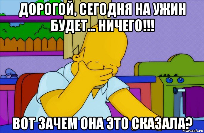 дорогой, сегодня на ужин будет... ничего!!! вот зачем она это сказала?, Мем Homer simpson facepalm