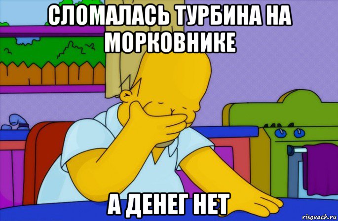 сломалась турбина на морковнике а денег нет, Мем Homer simpson facepalm