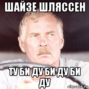 Шайзе с немецкого