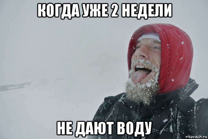 Давай через неделю. Дайте воды. Дали воду Мем. Вода Мем. Мемы про воду.
