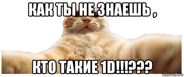 как ты не знаешь , кто такие 1d!!!???, Мем   Кэтсвилл