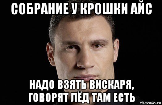 собрание у крошки айс надо взять вискаря, говорят лёд там есть, Мем Кличко