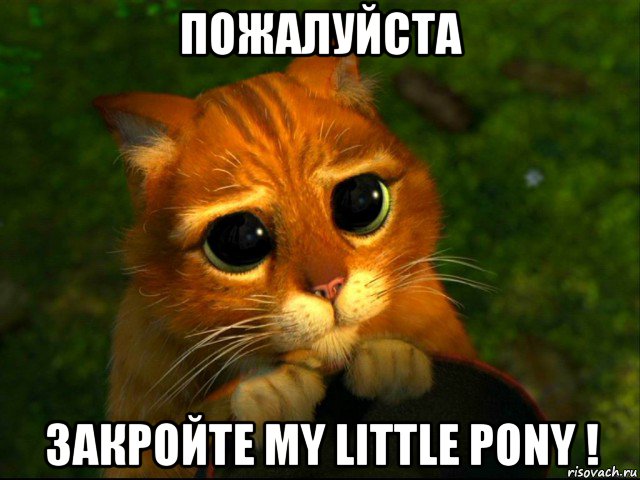 пожалуйста закройте my little pony !, Мем кот из шрека