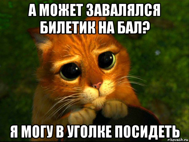 а может завалялся билетик на бал? я могу в уголке посидеть, Мем кот из шрека