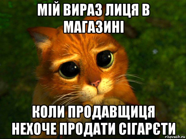 мій вираз лиця в магазині коли продавщиця нехоче продати сігарєти, Мем кот из шрека