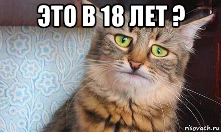 это в 18 лет ? , Мем  кот печаль