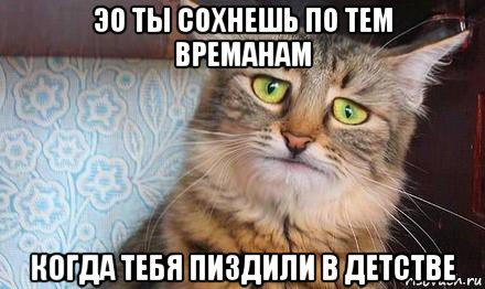 эо ты сохнешь по тем времанам когда тебя пиздили в детстве, Мем  кот печаль