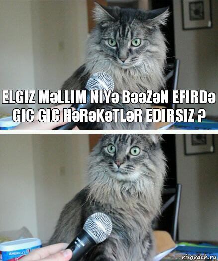 Elgiz mәllim niyә bәәzәn efirdә gic gic hәrәkәtlәr edirsiz ? , Комикс  кот с микрофоном