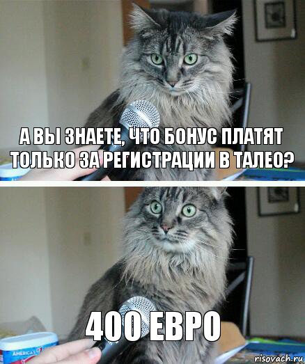 А вы знаете, что бонус платят только за регистрации в ТАЛЕО? 400 евро, Комикс  кот с микрофоном