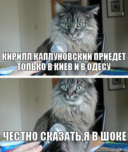 Кирилл Каплуновский приедет только в Киев и в Одесу Честно сказать,я в шоке, Комикс  кот с микрофоном