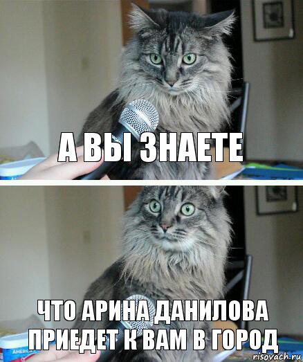 а вы знаете что арина данилова приедет к вам в город, Комикс  кот с микрофоном