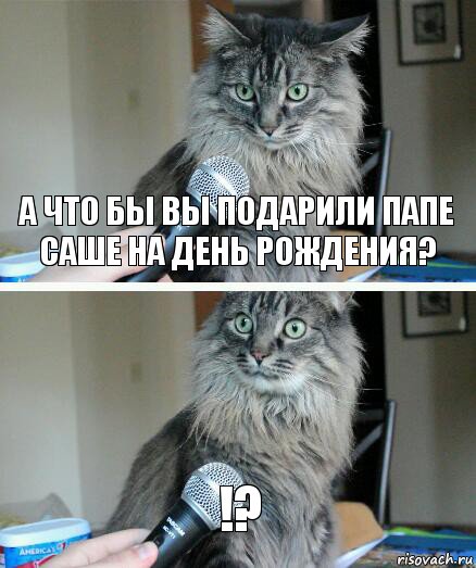 А что бы вы подарили папе саше на день рождения? !?, Комикс  кот с микрофоном