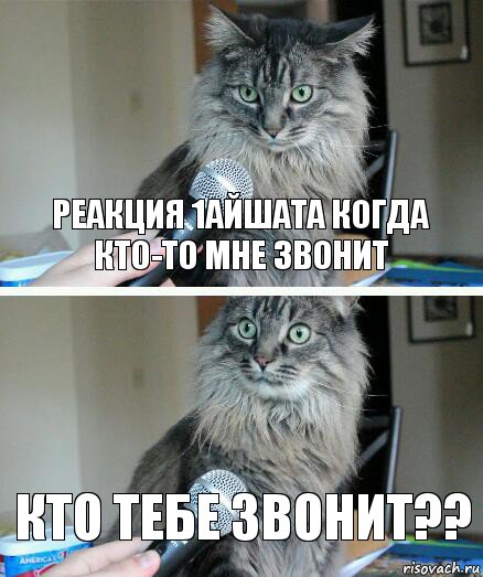 Реакция 1айшата когда кто-то мне звонит КТО ТЕБЕ ЗВОНИТ??, Комикс  кот с микрофоном